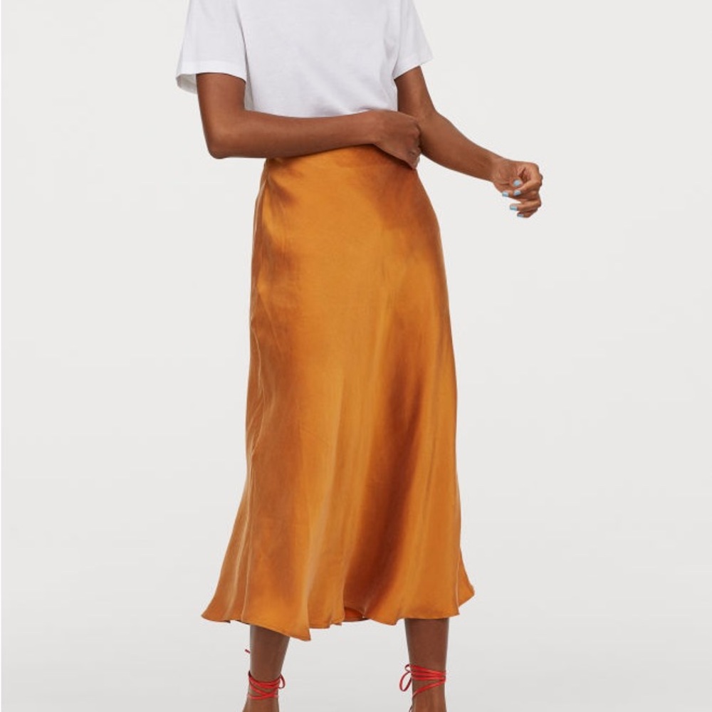 Express Midi Skirt